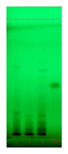 Details are in the caption following the image