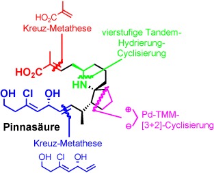 Asymmetric Total Synthesis of Pinnaic Acid