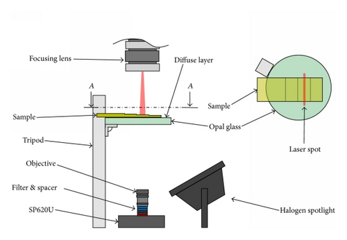 Details are in the caption following the image Details are in the caption following the image