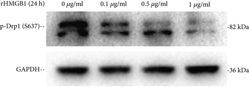 Details are in the caption following the image
