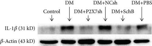 Details are in the caption following the image