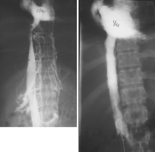 Details are in the caption following the image