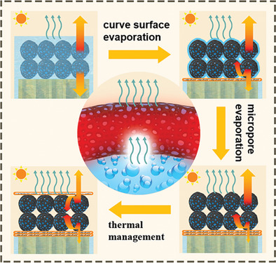 Sandwich Photothermal Membrane with Confined Hierarchical Carbon Cells Enabling High-Efficiency Solar Steam Generation