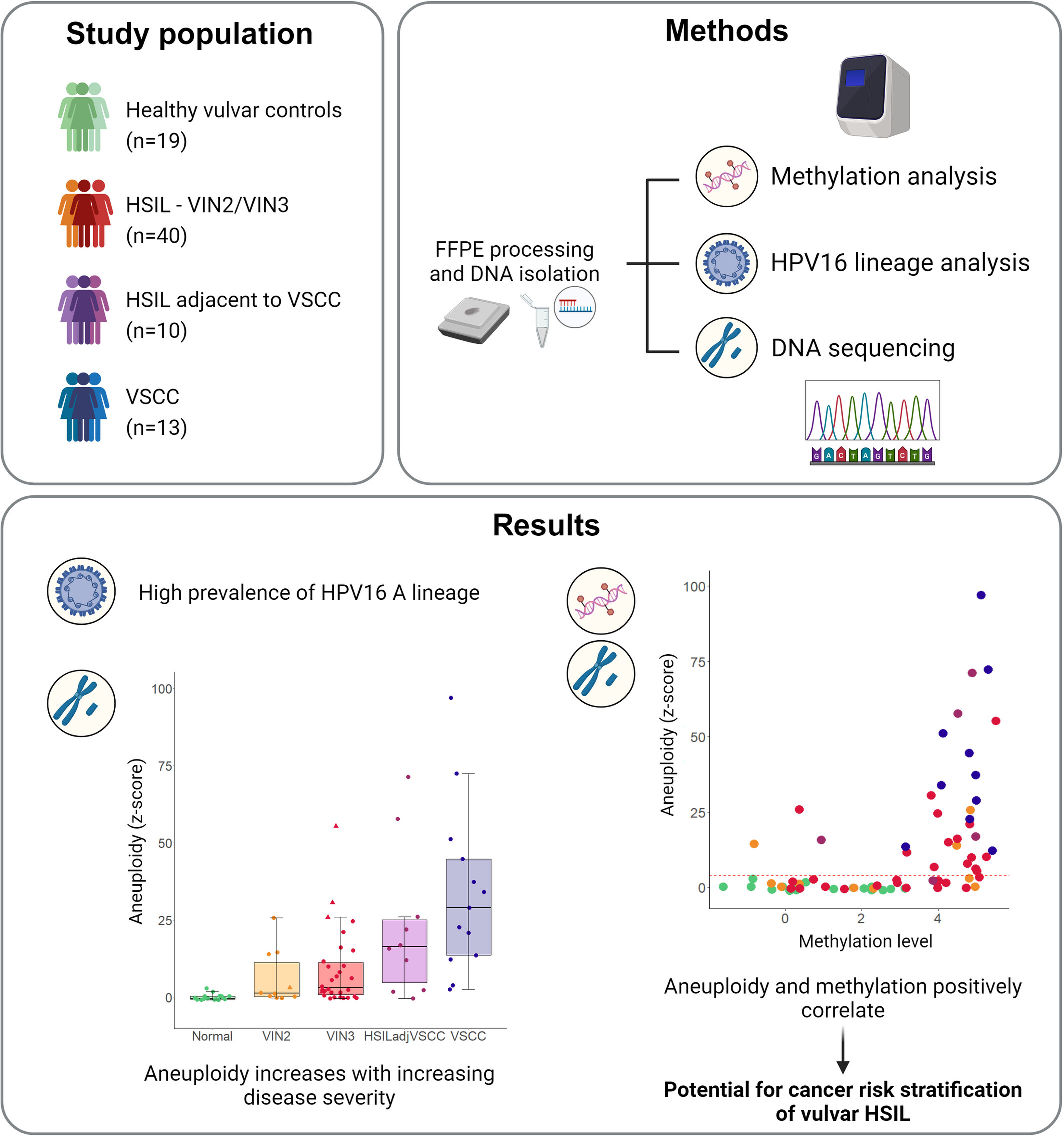 DNA methylation and copy number alterations in the progression of HPV-associated high-grade vulvar intraepithelial lesion