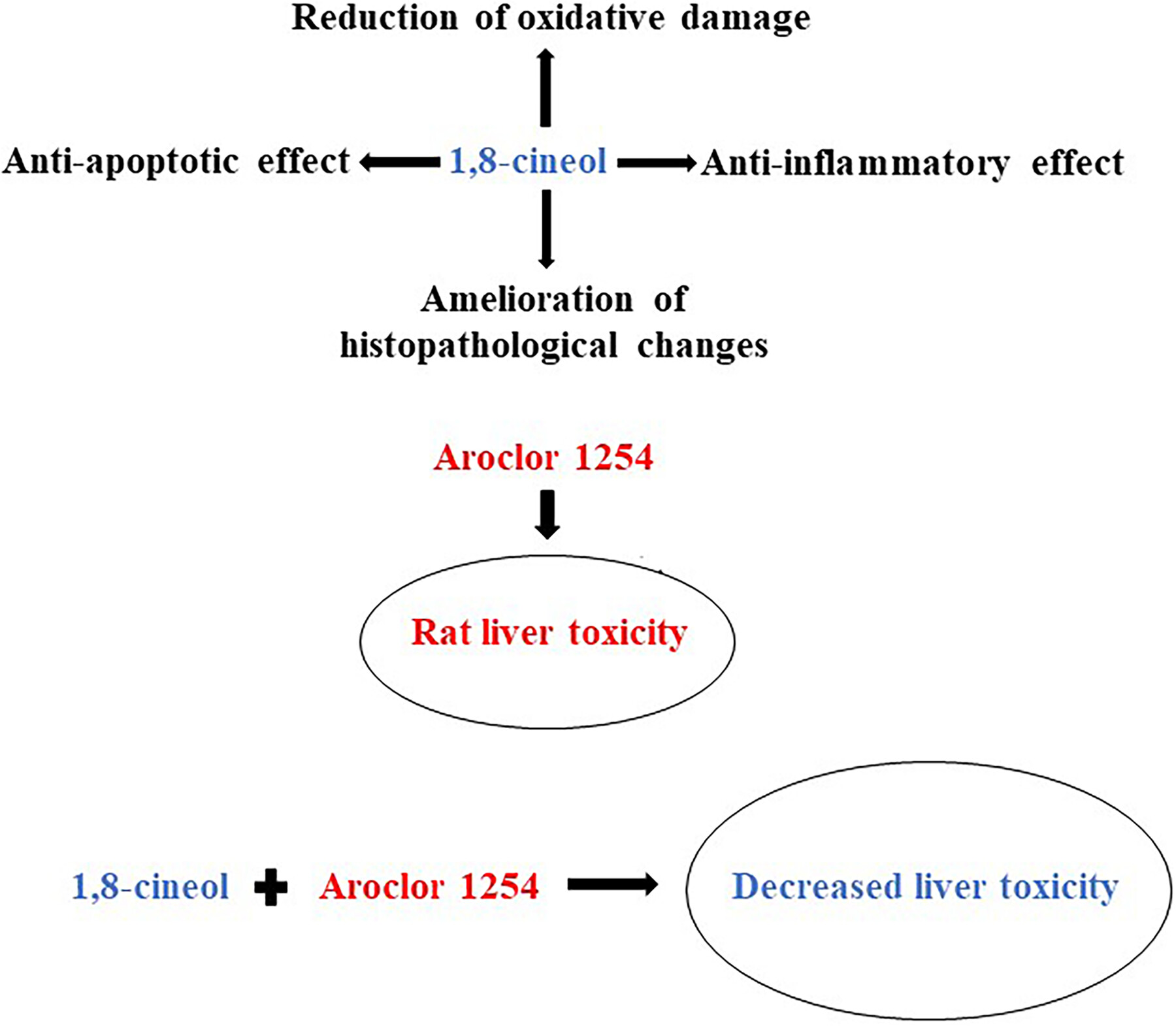 1,8-Cineole Protects Against Liver Toxicity Induced by Aroclor-1254 in a Rat Model