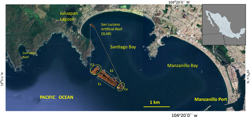 Details are in the caption following the image