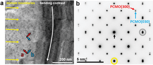 Details are in the caption following the image