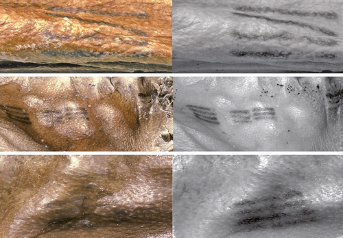 Details are in the caption following the image Details are in the caption following the image