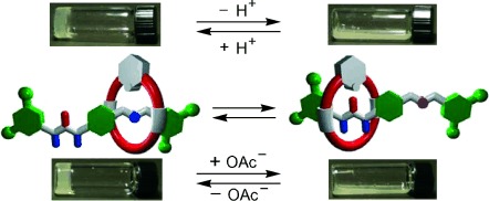 Acid/Base- and Anion-Controllable Organogels Formed From a Urea-Based Molecular Switch