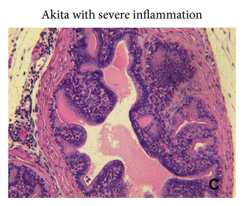 Details are in the caption following the image