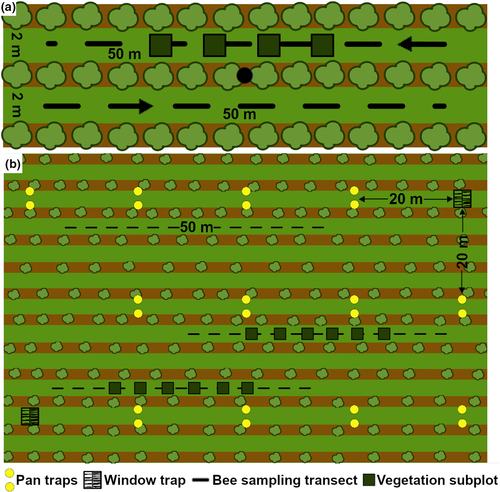 Details are in the caption following the image Details are in the caption following the image