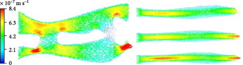 Details are in the caption following the image Details are in the caption following the image