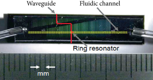 Details are in the caption following the image Details are in the caption following the image