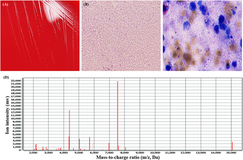 Details are in the caption following the image Details are in the caption following the image