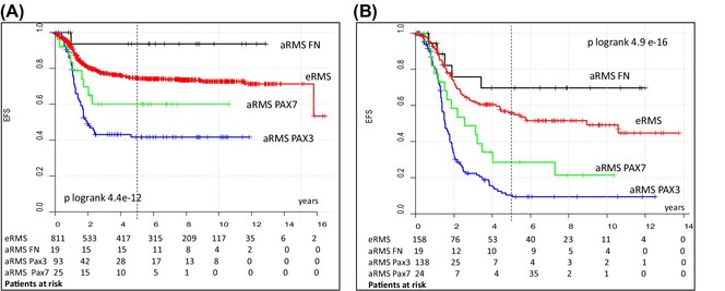 Prognostic factors in patients with localized and metastatic alveolar rhabdomyosarcoma. A report from two studies and two registries of the Cooperative Weichteilsarkom Studiengruppe CWS