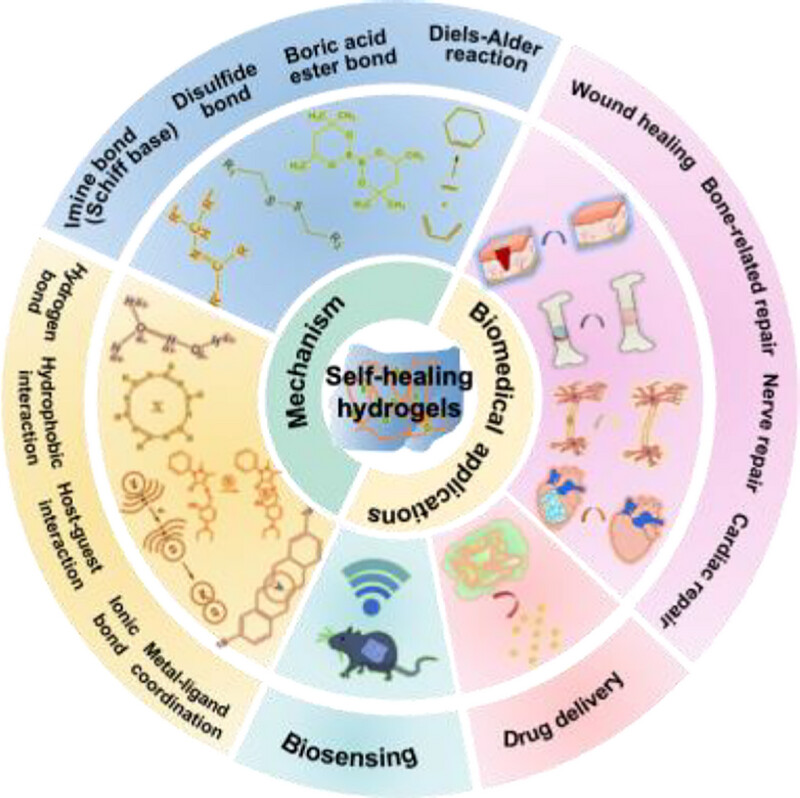 Self-Healing Hydrogels: Mechanisms and Biomedical Applications