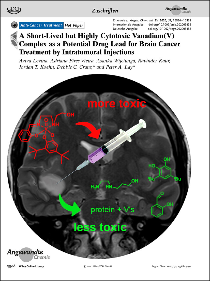 Frontispiz: A Short-Lived but Highly Cytotoxic Vanadium(V) Complex as a Potential Drug Lead for Brain Cancer Treatment by Intratumoral Injections Volume 132 Issue 37, 2020