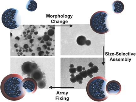 Size-Dependent Self-Assembly of Anisotropic Silica-Coated Hybrid Nanoparticles