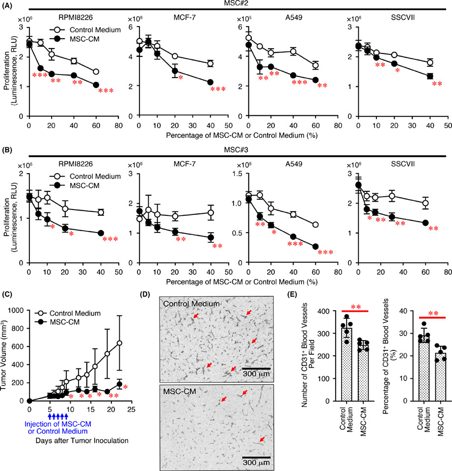 Potent antitumor effects of the conditioned medium of bone marrow-derived mesenchymal stem cells via IGFBP-4