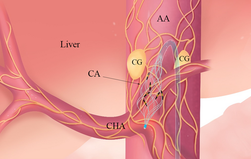 Details are in the caption following the image Details are in the caption following the image