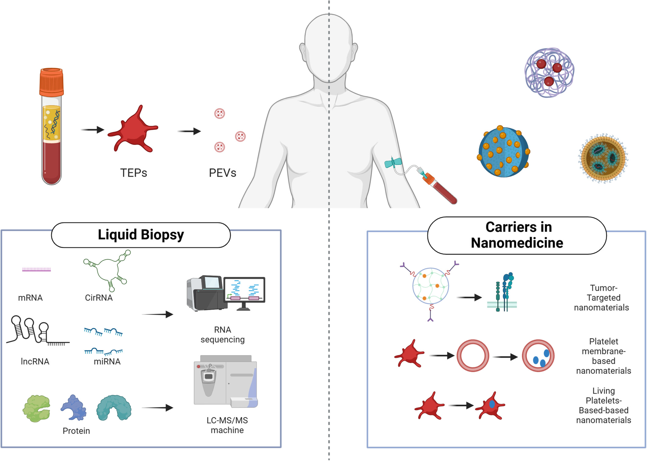 Platelets: Novel Biomaterials for Cancer Diagnosis and Therapeutic Delivery