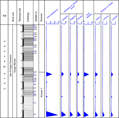 Details are in the caption following the image