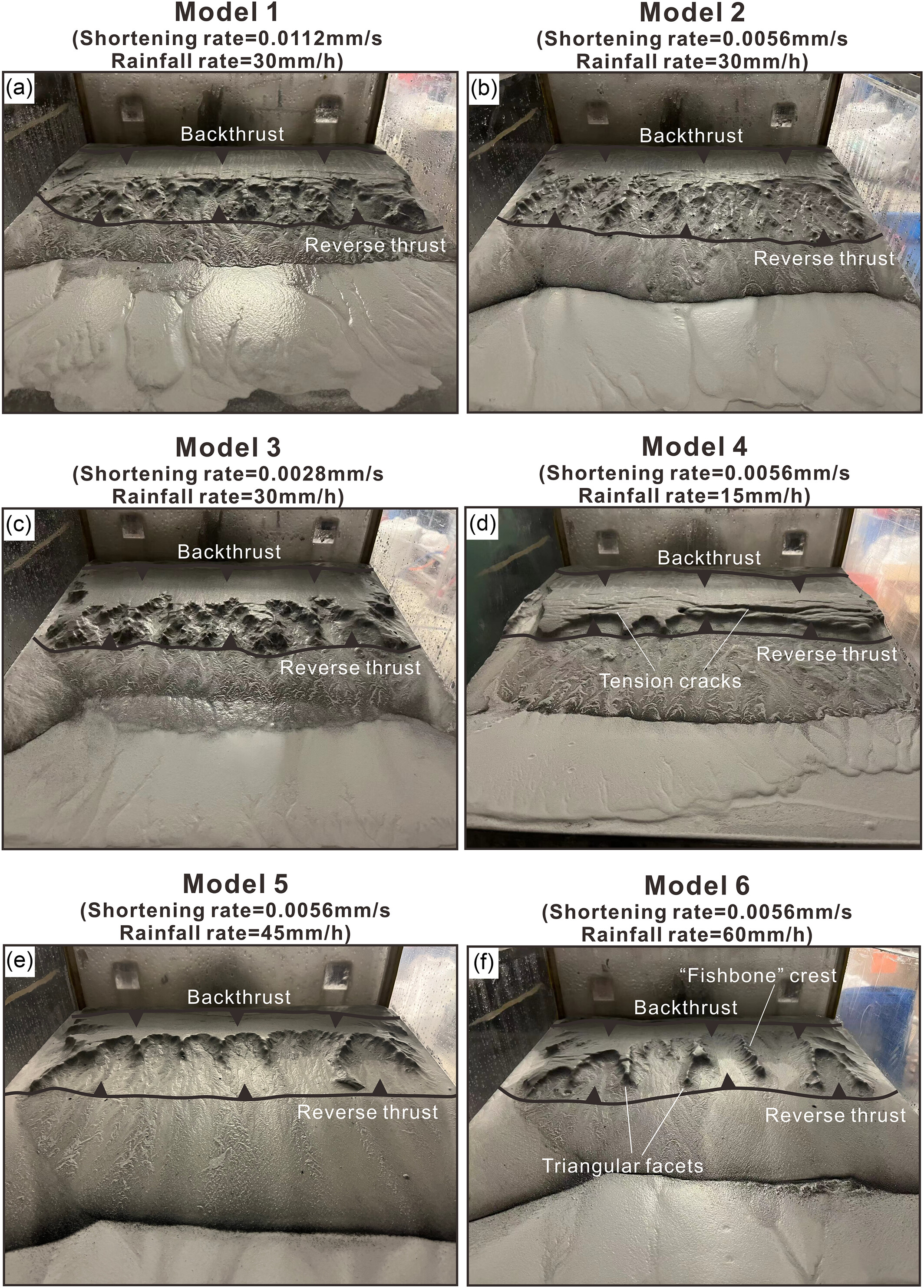 Drainage evolution in accretionary thrust systems as responses to tectono-climatic variability: Insights from sandbox modelling