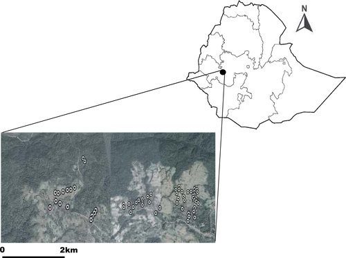 Details are in the caption following the image