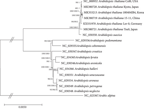 Details are in the caption following the image Details are in the caption following the image