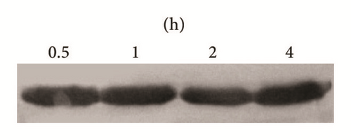 Details are in the caption following the image