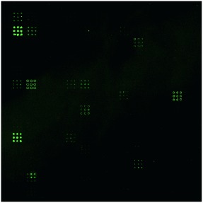 Aminoglycosid-Mikroarrays für Bindungsstudien an Resistenzproteinen