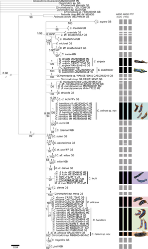 Details are in the caption following the image Details are in the caption following the image