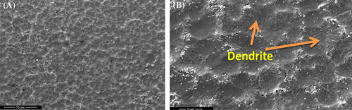 Details are in the caption following the image