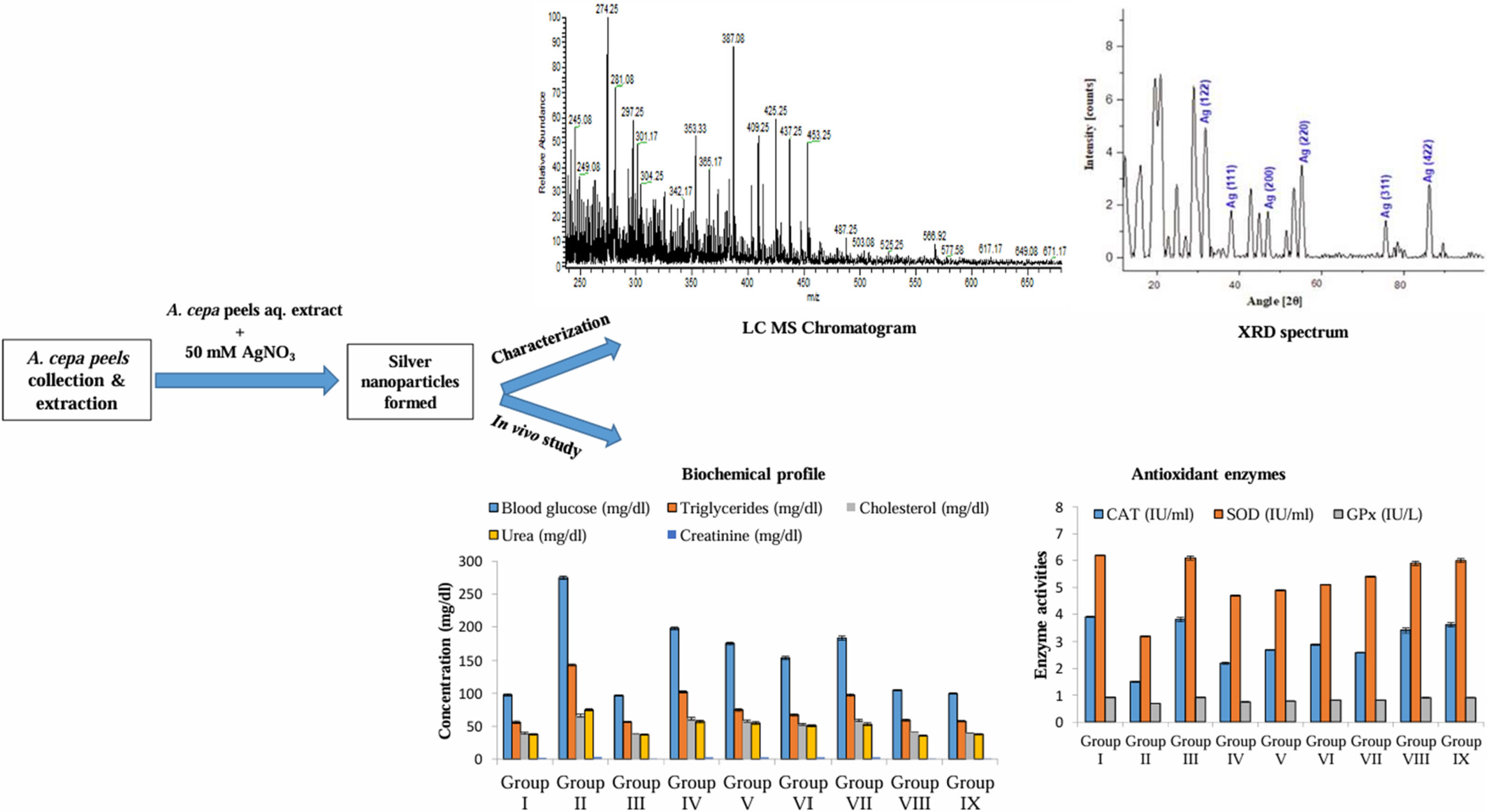 Chemical Characterization, Antidiabetic and Antioxidant Potential of Allium cepa Peels Silver Nanoparticles Against Alloxan Induced Diabetes in Rabbits