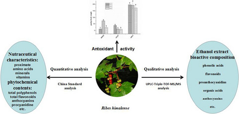 Ribes himalense as potential source of natural bioactive compounds: Nutritional, phytochemical, and antioxidant properties