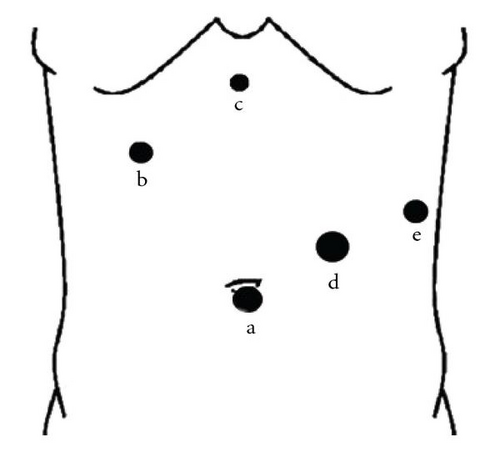 Details are in the caption following the image Details are in the caption following the image
