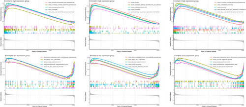 Details are in the caption following the image Details are in the caption following the image