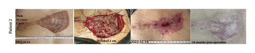 Details are in the caption following the image Details are in the caption following the image