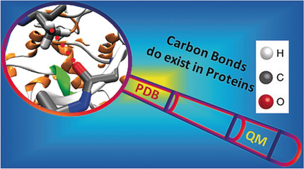 Noncovalent Carbon-Bonding Interactions in Proteins