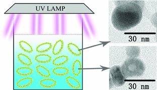 Photoinduced Silver Nanoparticles/Nanorings on Plasmid DNA Scaffolds
