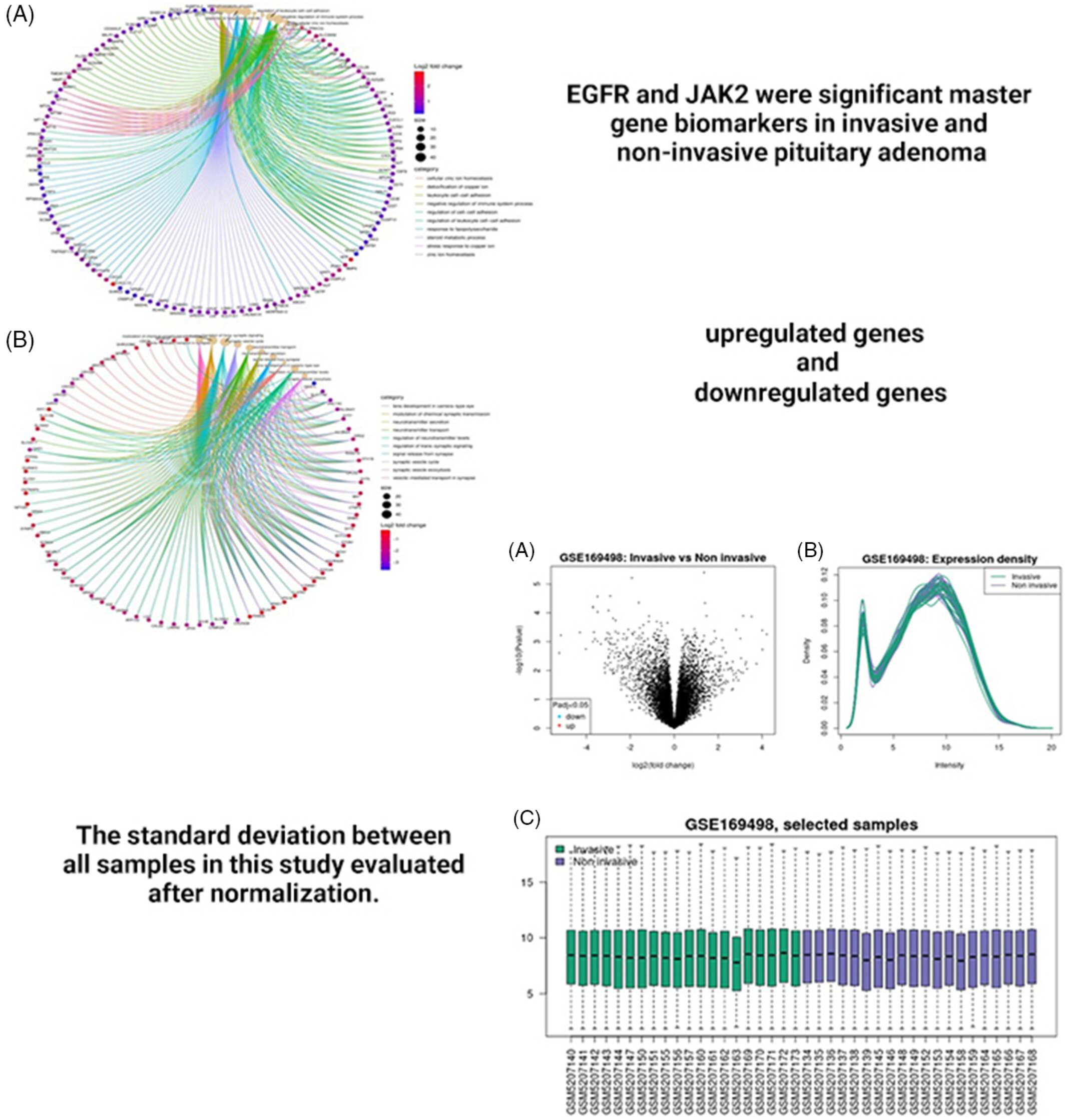 EGFR and JAK2 were significant master gene biomarkers in invasive and noninvasive pituitary adenoma Issue 1, 2025