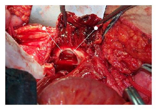 Details are in the caption following the image Details are in the caption following the image