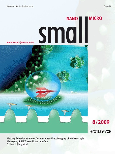 Interfaces: Small 8/2009