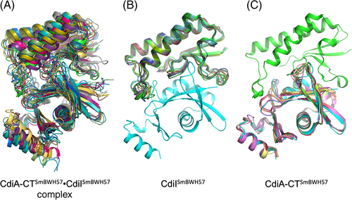 Details are in the caption following the image