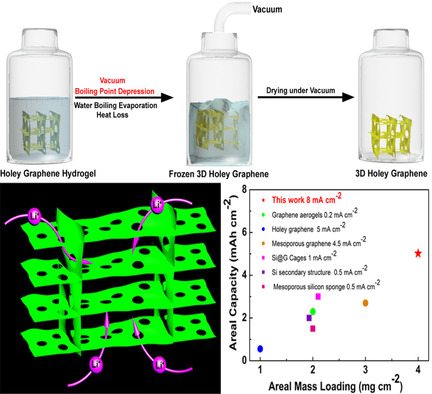 Vacuum-Dried 3D Holey Graphene Frameworks Enabling High Mass Loading and Fast Charge Transfer for Advanced Batteries