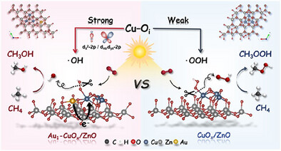 Regulating Reactive Oxygen Species via Orbital Rehybridization Between Intermediate and Active Site for Selective Methane Photooxidation to Methanol