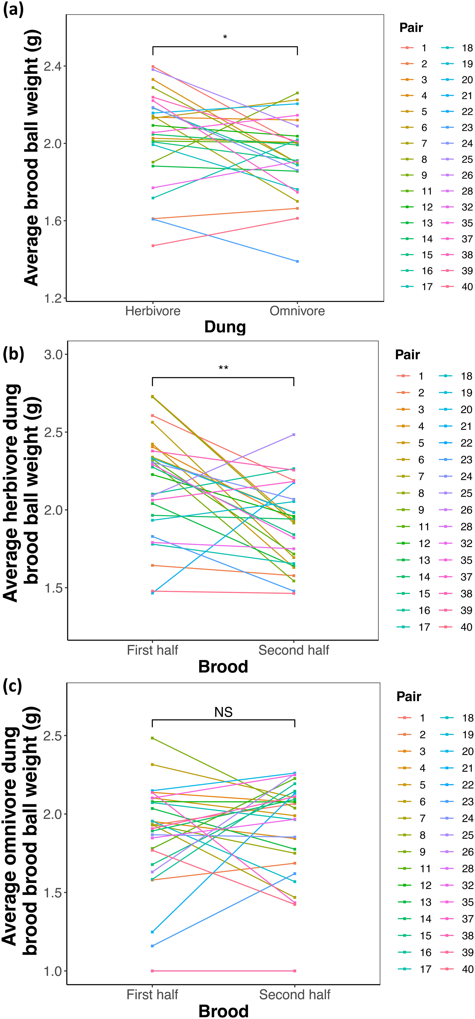 Male Reproductive Traits Display Increased Phenotypic Variation in Response to Resource Quality and Parental Provisioning in a Tropical Rainforest Dung Beetle, Onthophagus c.f. babirussa