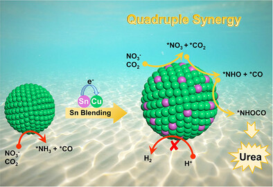 Atomic-Scale Mott-Schottky Analogy in SnCu Nanoalloy Promote High-Efficiency Urea Electrosynthesis at Ultralow Potential