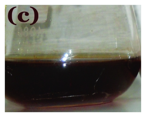 Details are in the caption following the image