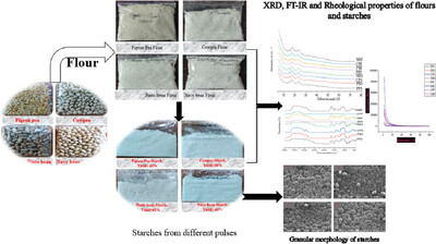 Physicochemical, Rheological Properties, and In-Vitro Starch Digestibility of Flours and Starches from Pigeon Pea, Cowpea, Pinto Bean, and Navy Bean